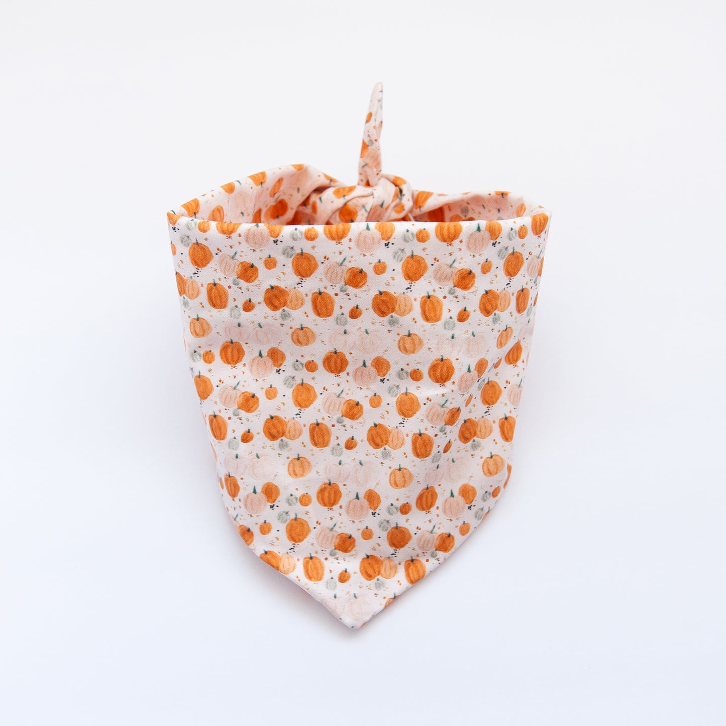 Pumpkin Patch Dog Bandana