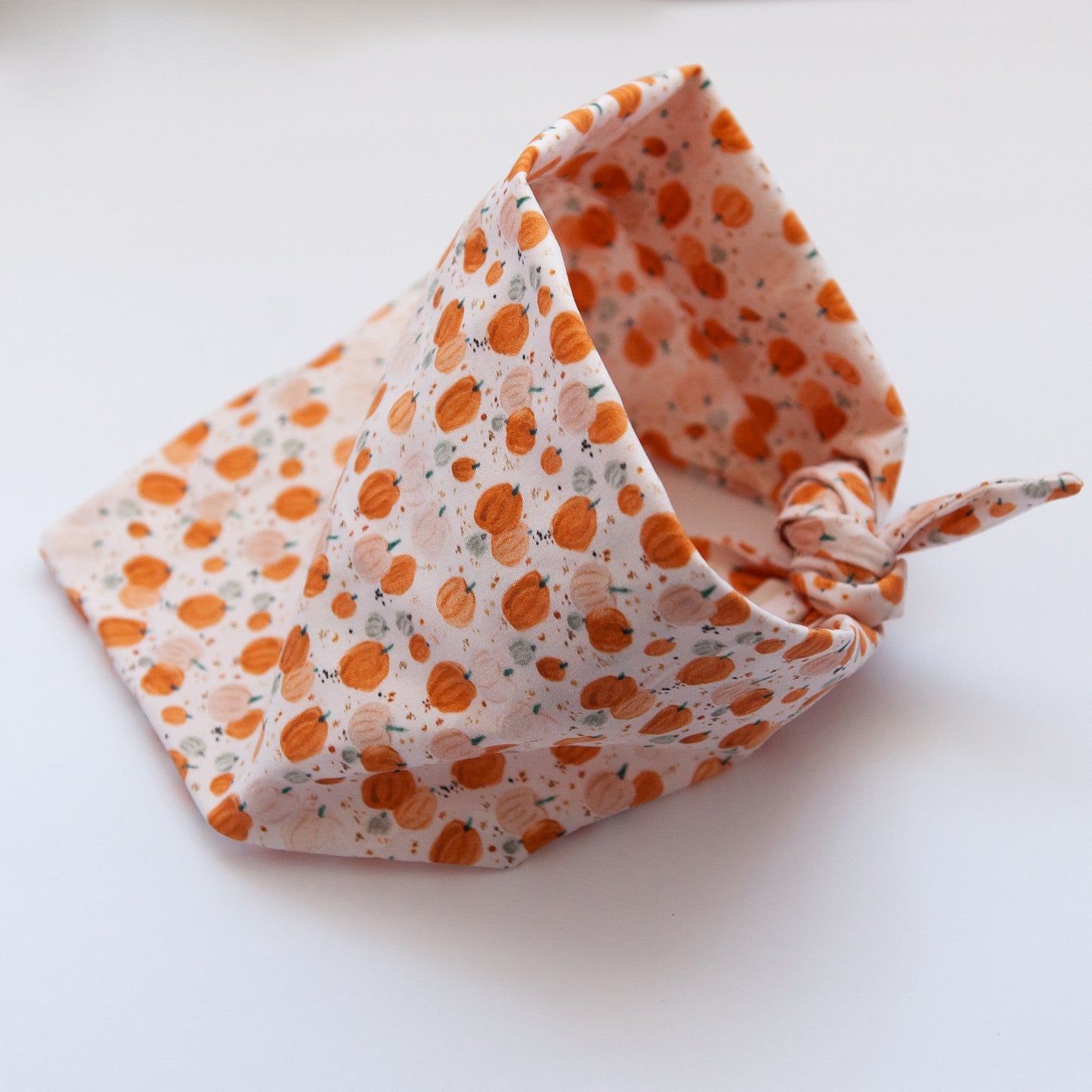 Pumpkin Patch Dog Bandana