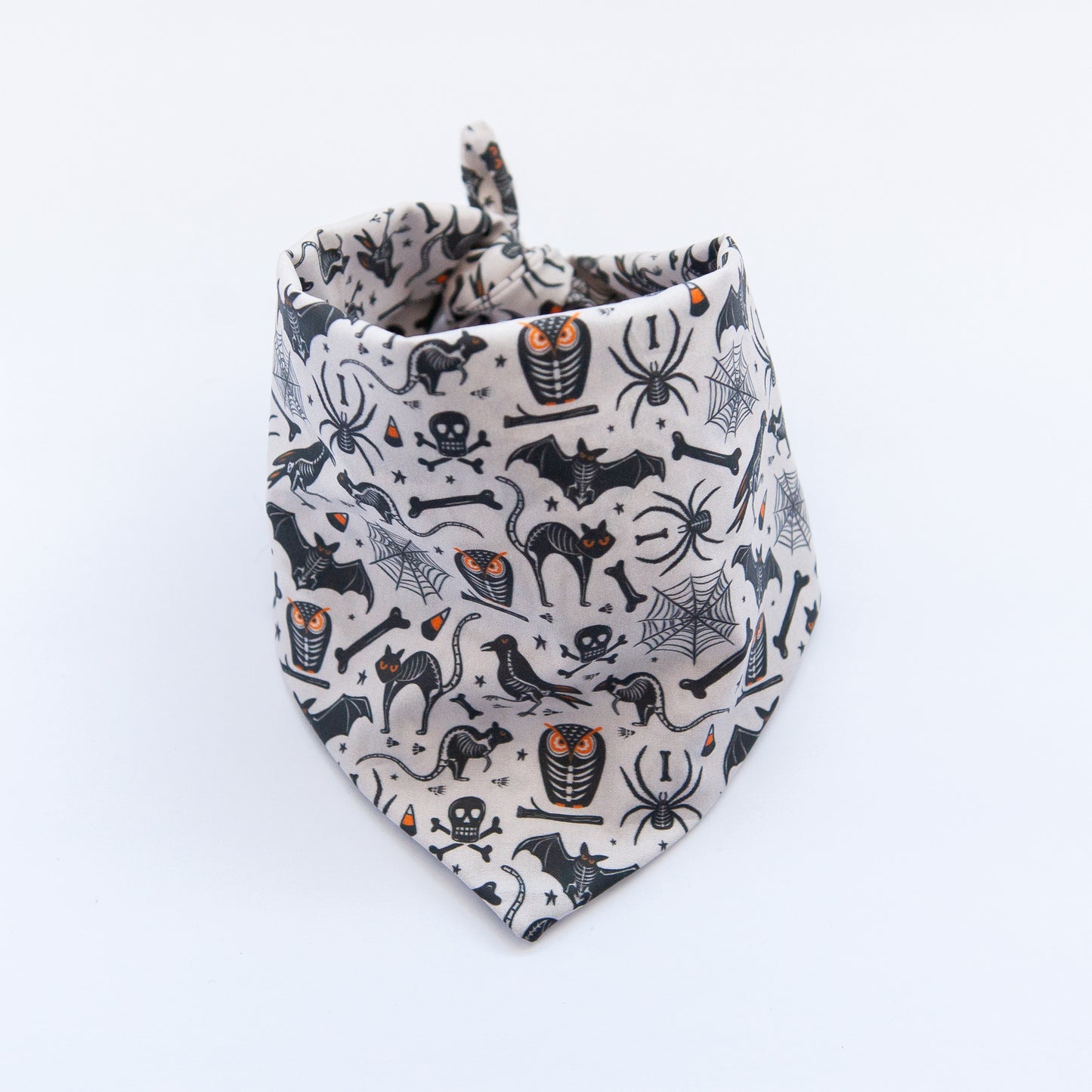 Sticks and Bones Dog Bandana
