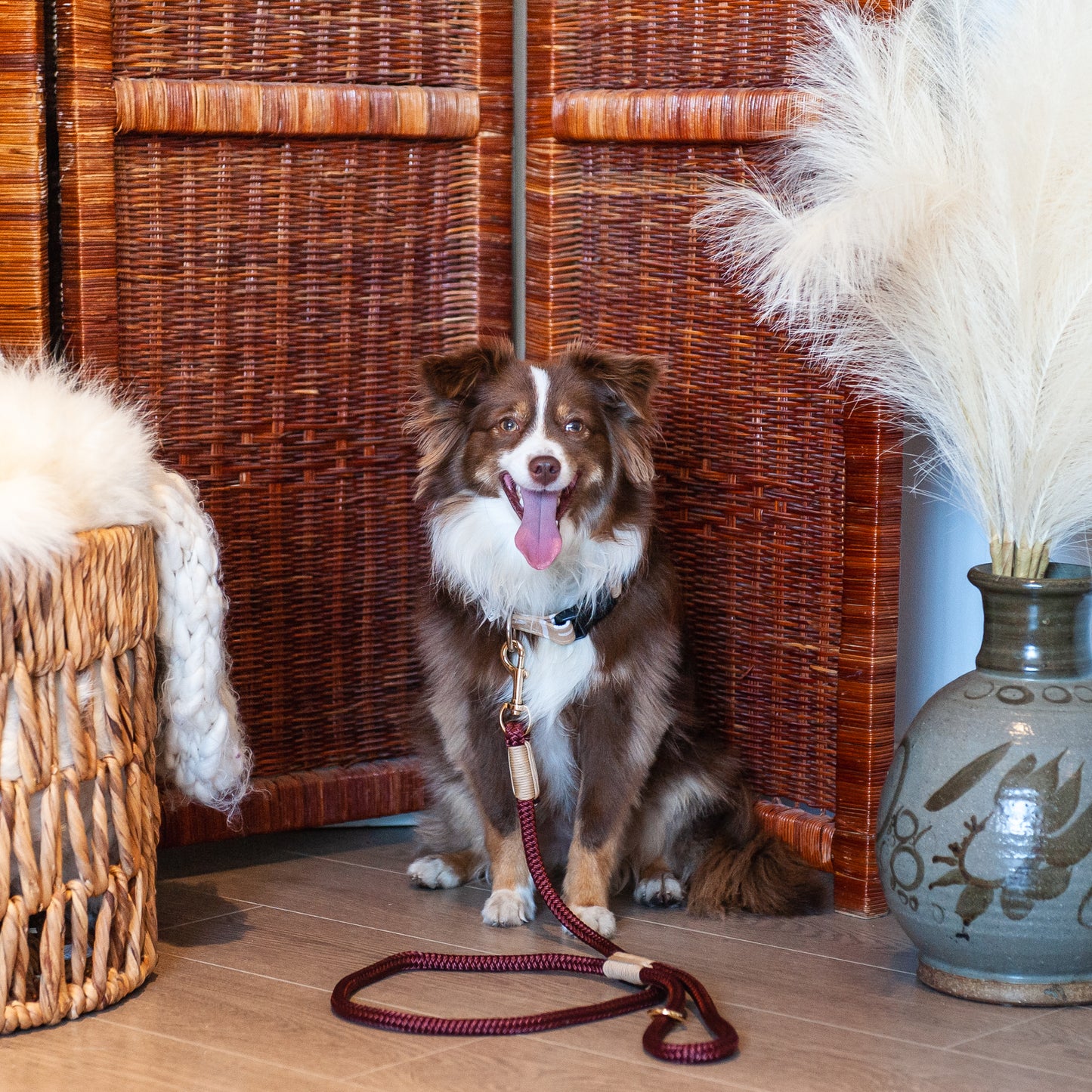 Burgundy & Tan Marine Rope Dog Leash