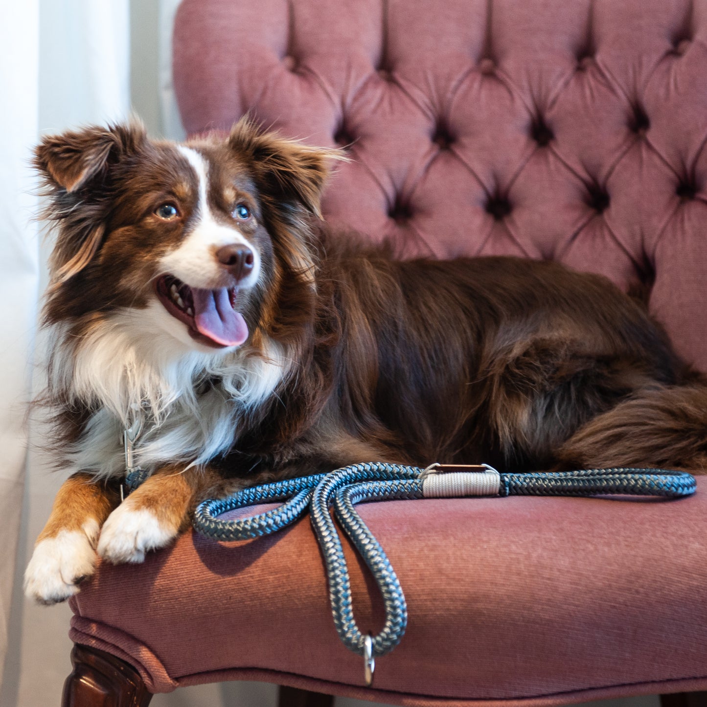 Silver Marine Rope Dog Leash