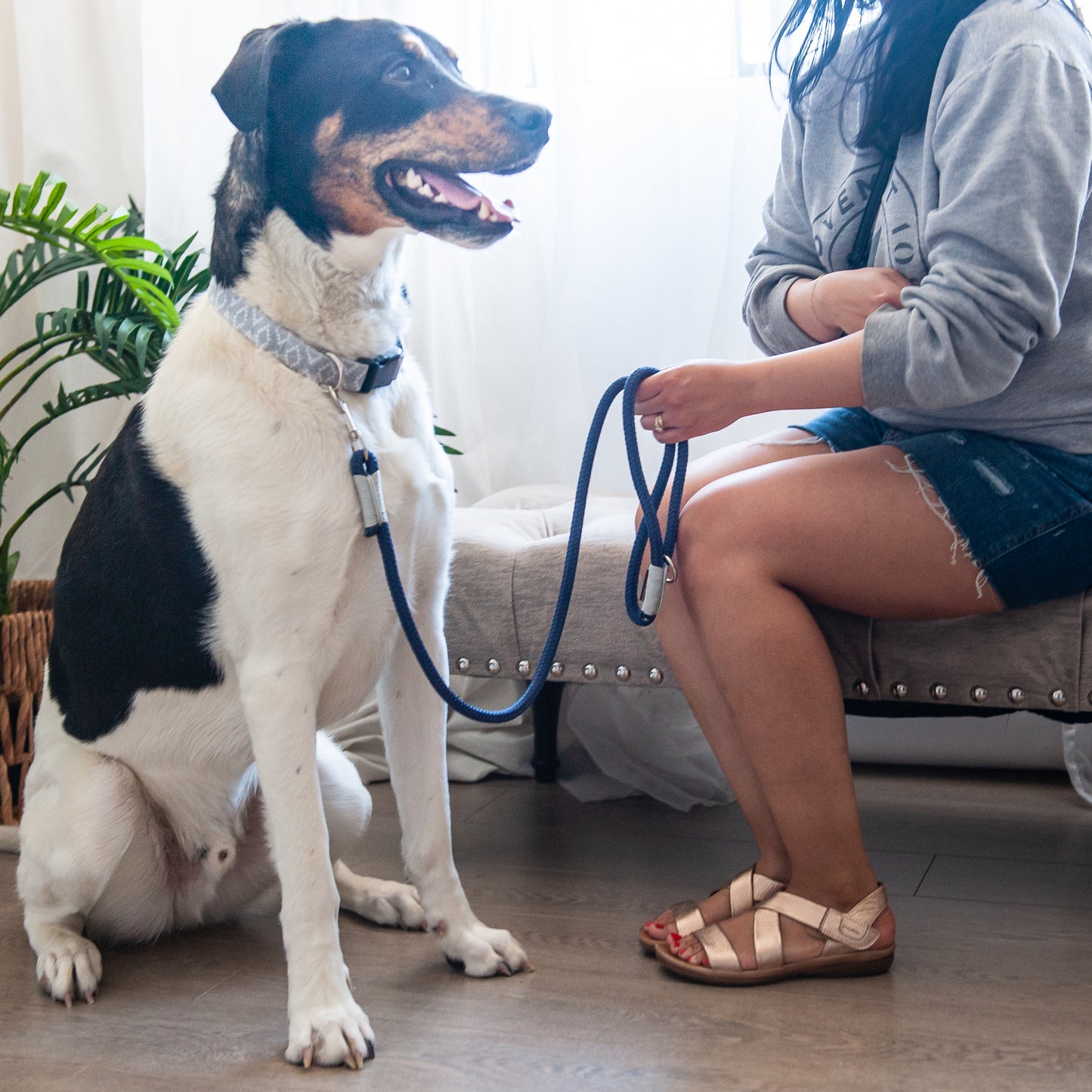 Navy & Silver Marine Rope Dog Leash