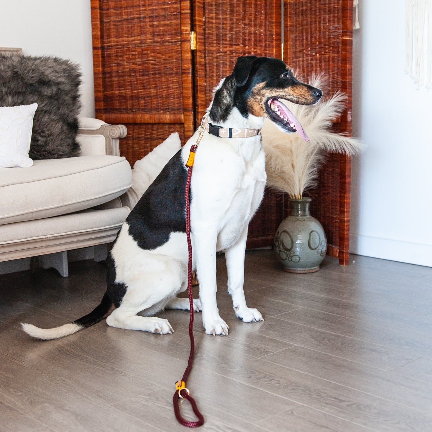 Burgundy & Yellow Marine Rope Dog Leash