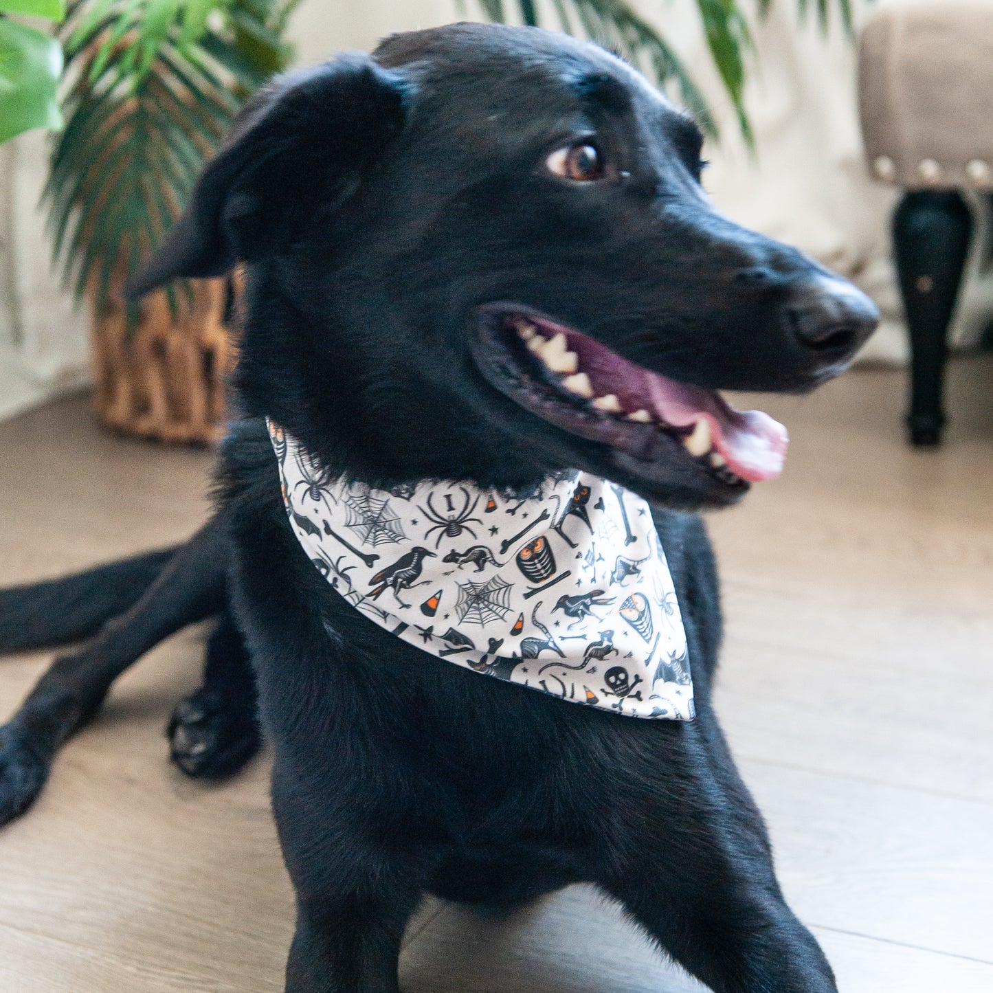 Sticks and Bones Dog Bandana
