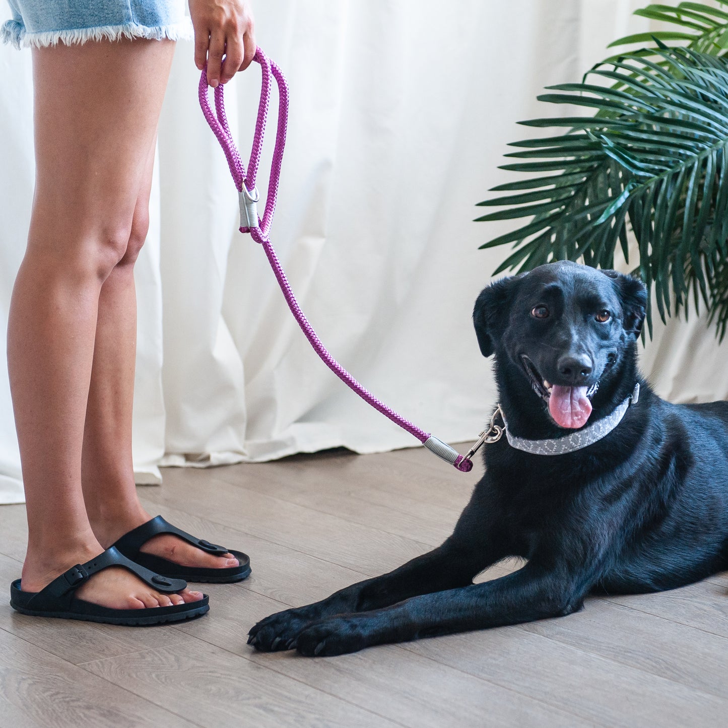 Berry & Silver Marine Rope Dog Leash