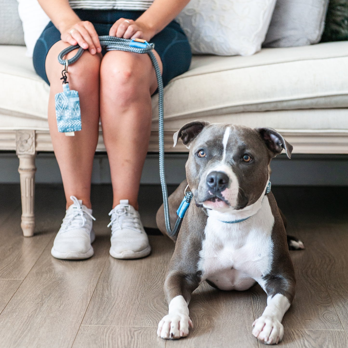 Silver & Baby Blue Marine Rope Dog Leash