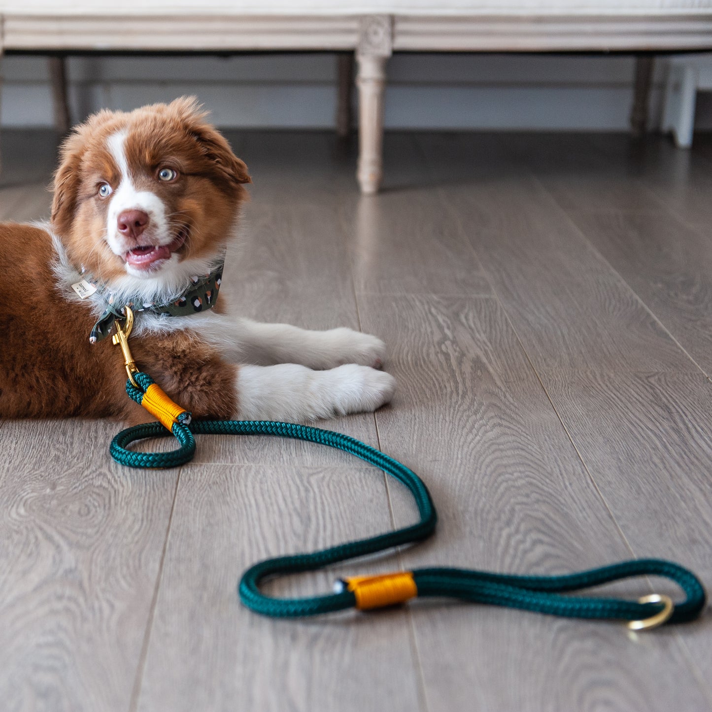 Forest Green & Yellow Marine Rope Dog Leash