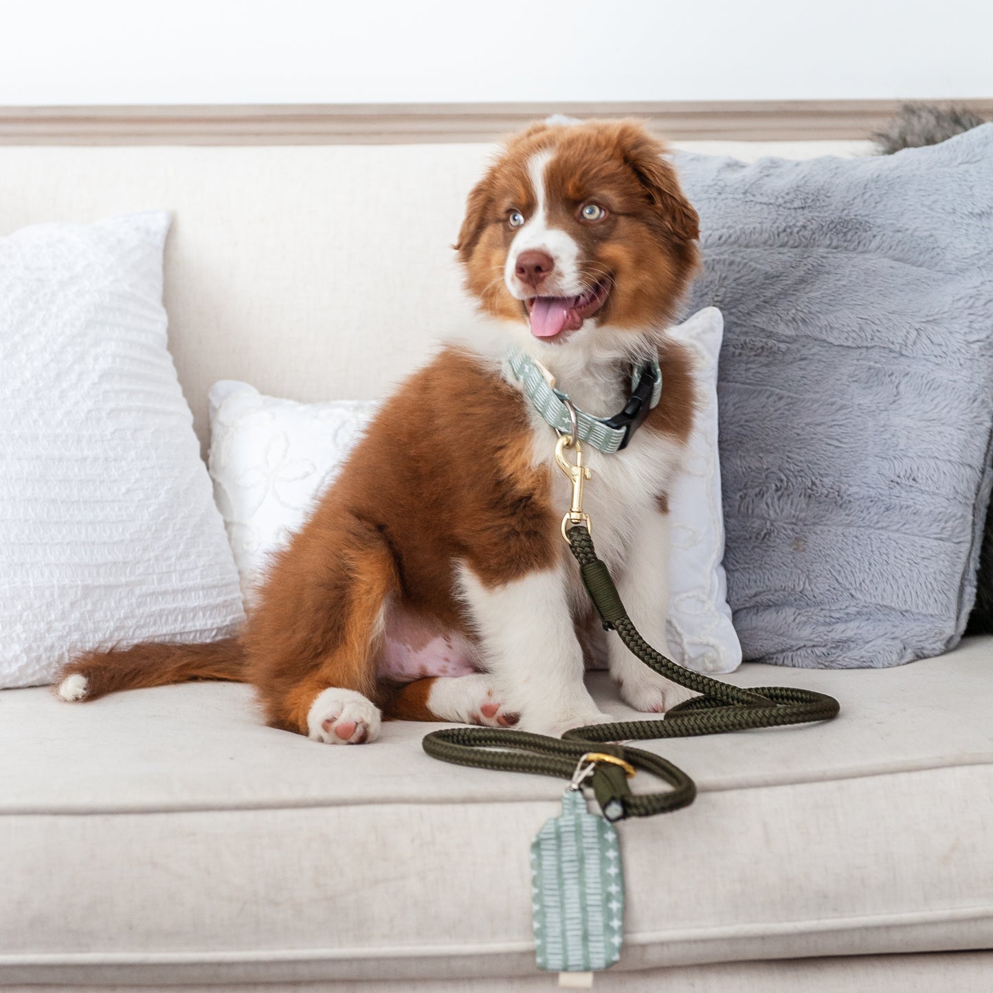 Olive Marine Rope Dog Leash