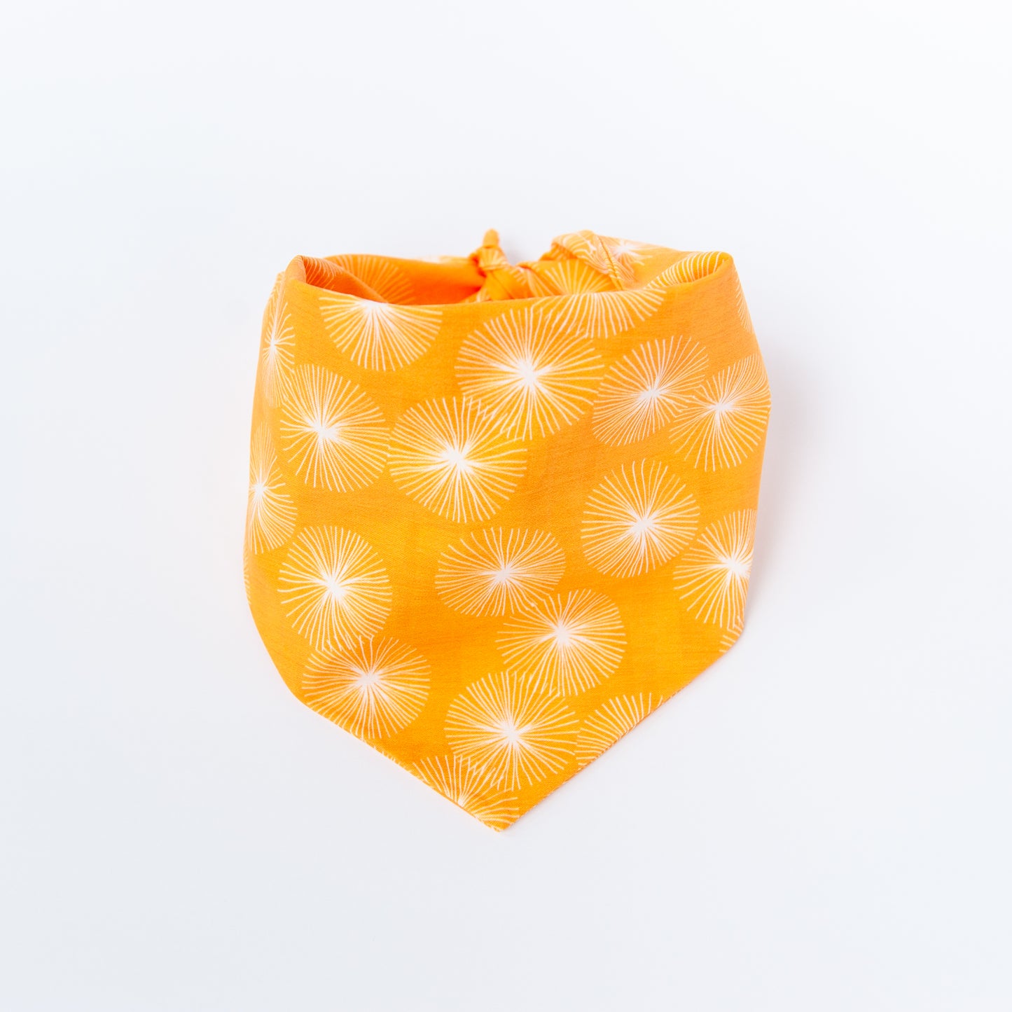 Summer Dandelion Dog Bandana