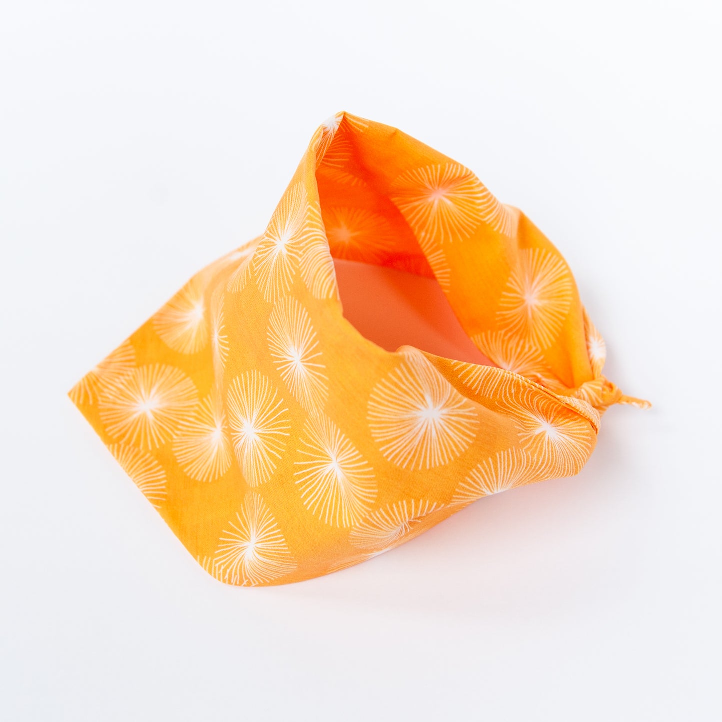 Summer Dandelion Dog Bandana