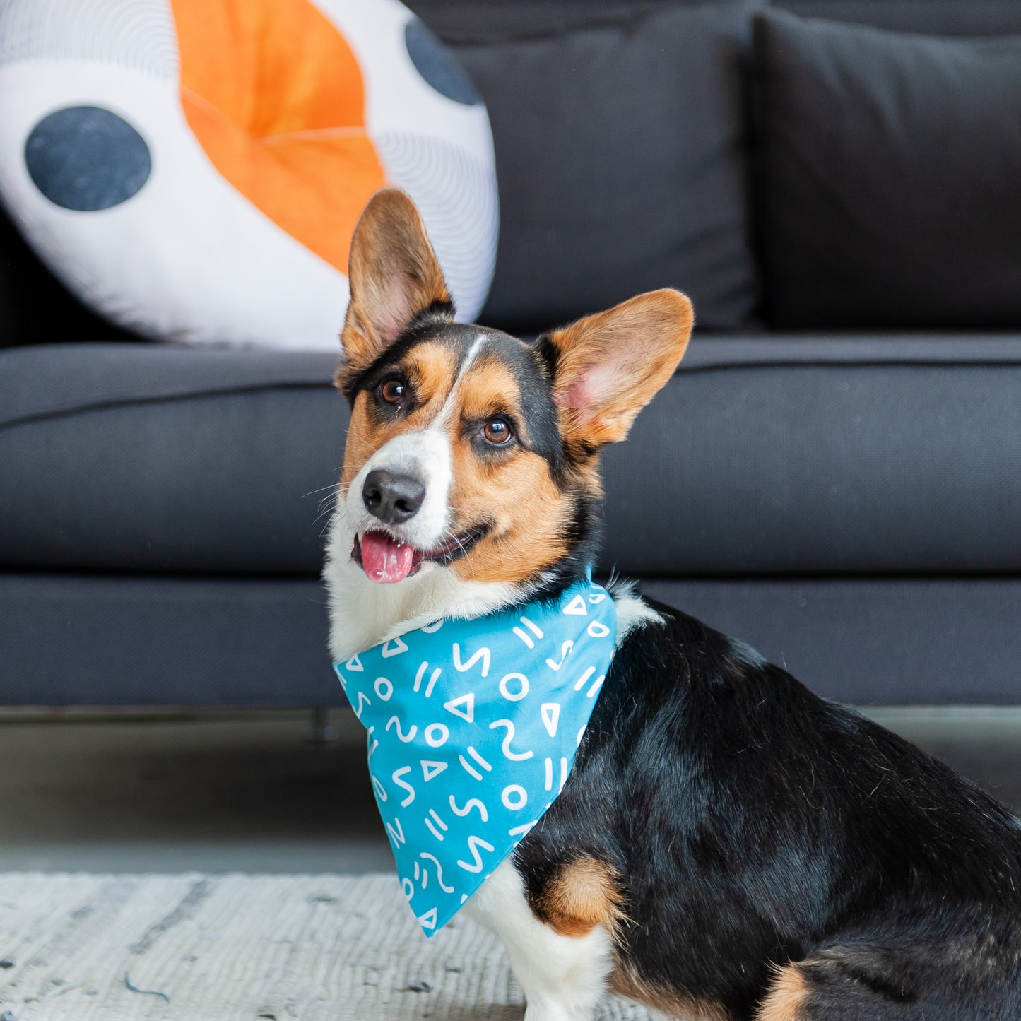 Turquoise Blue Shapes Dog Bandana