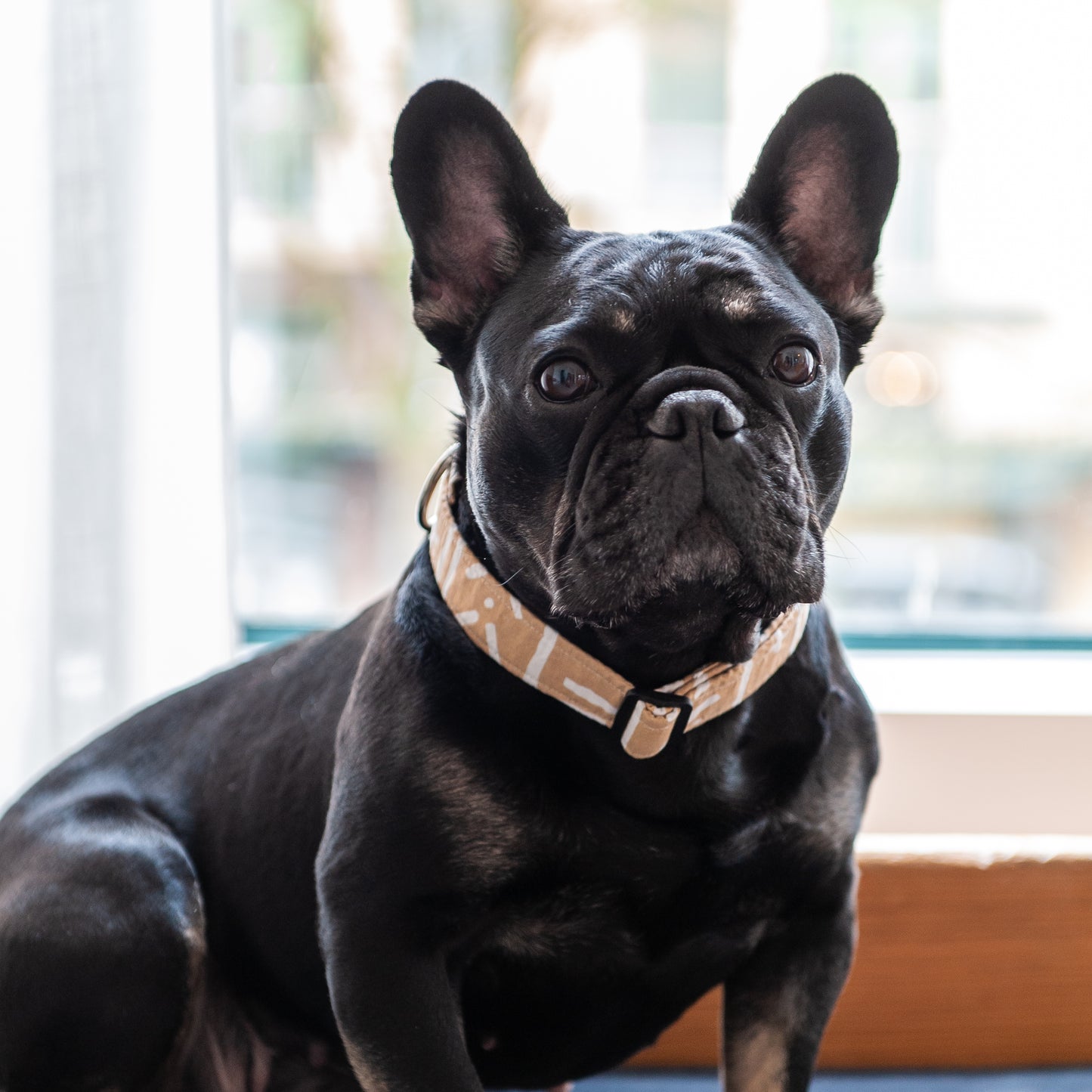 Sandy Mudcloth Dog Collar