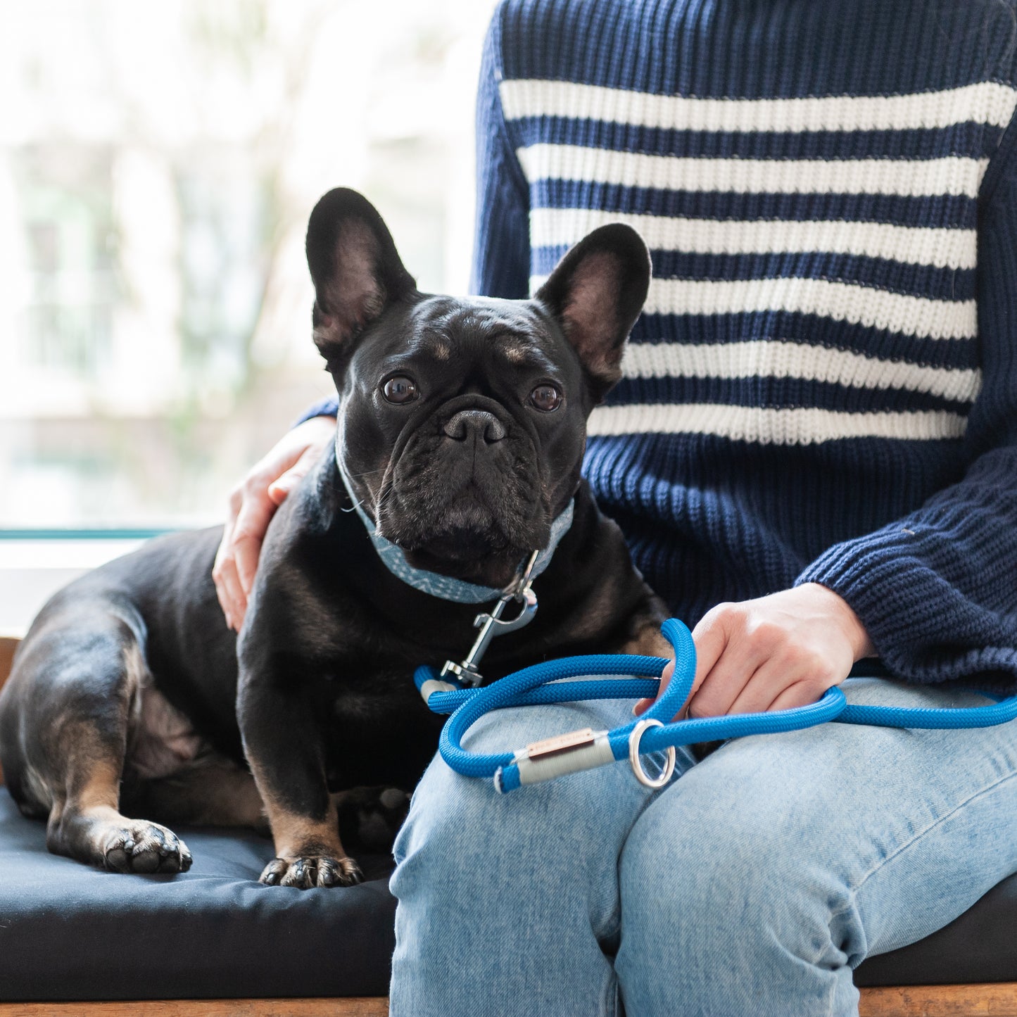 Blue & Silver Climbing Rope Dog Leash