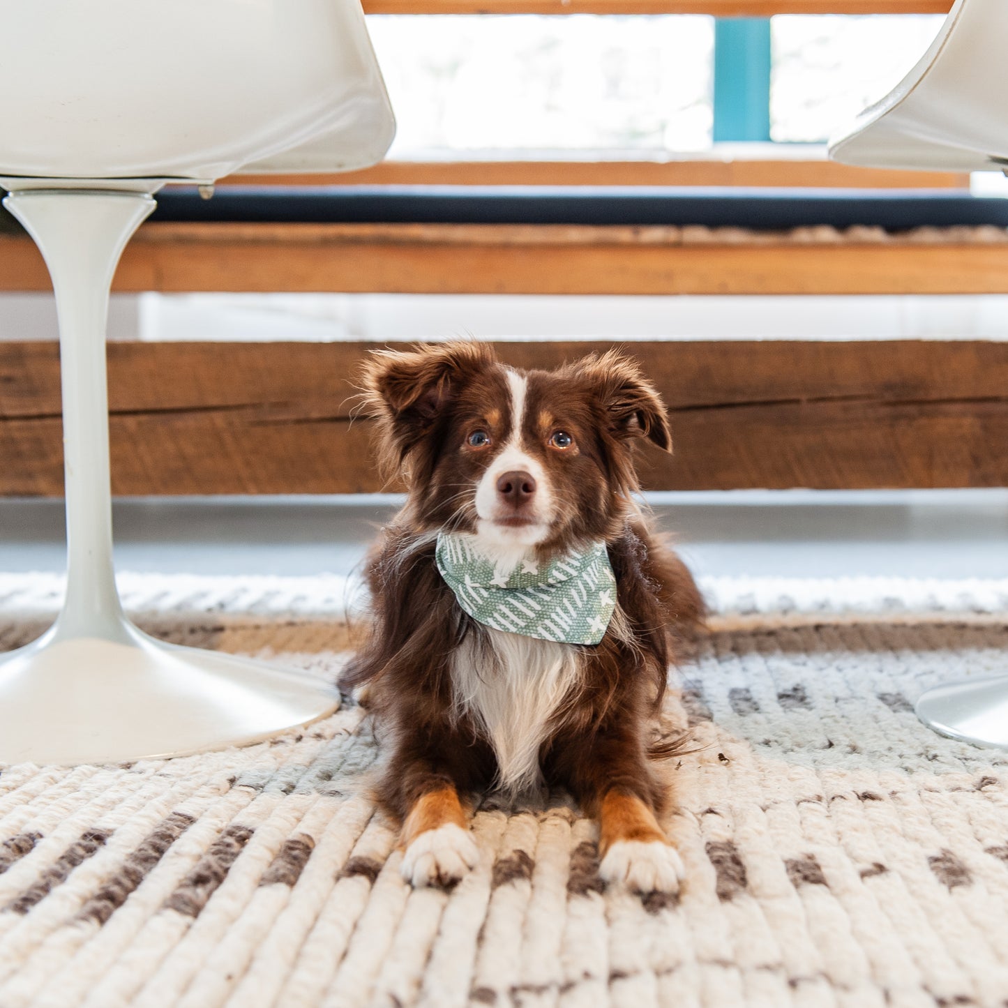 Sage Farmhouse Dog Bandana