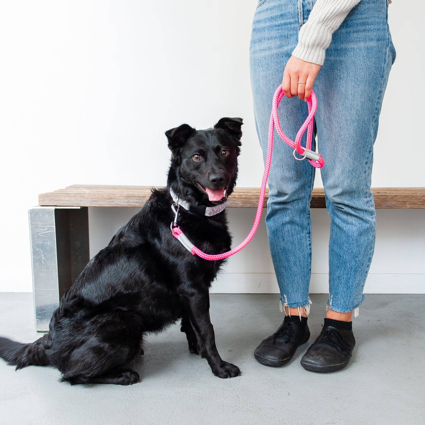 Neon Pink & Silver Rope Dog Leash