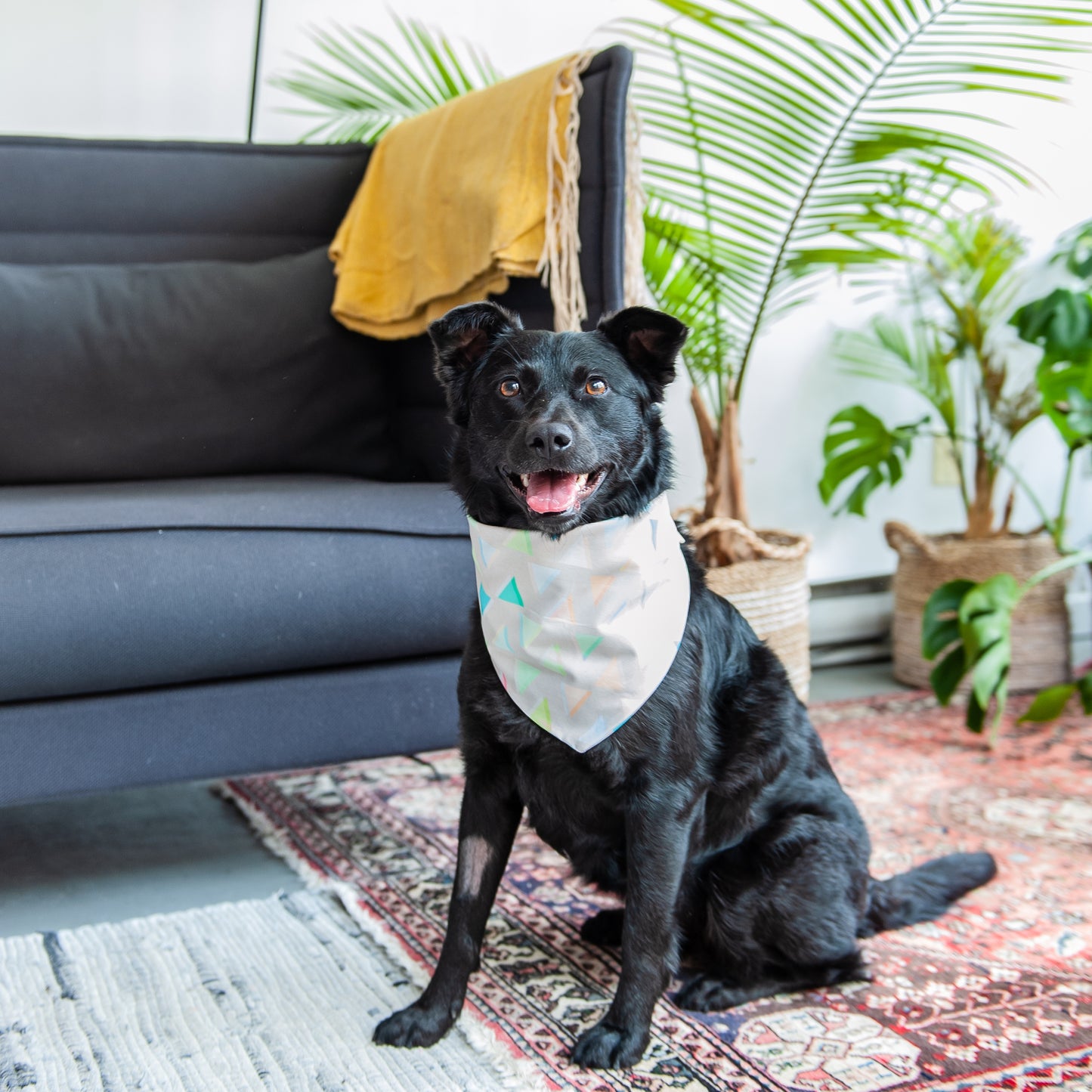 Pastel Neon Triangle Dog Bandana