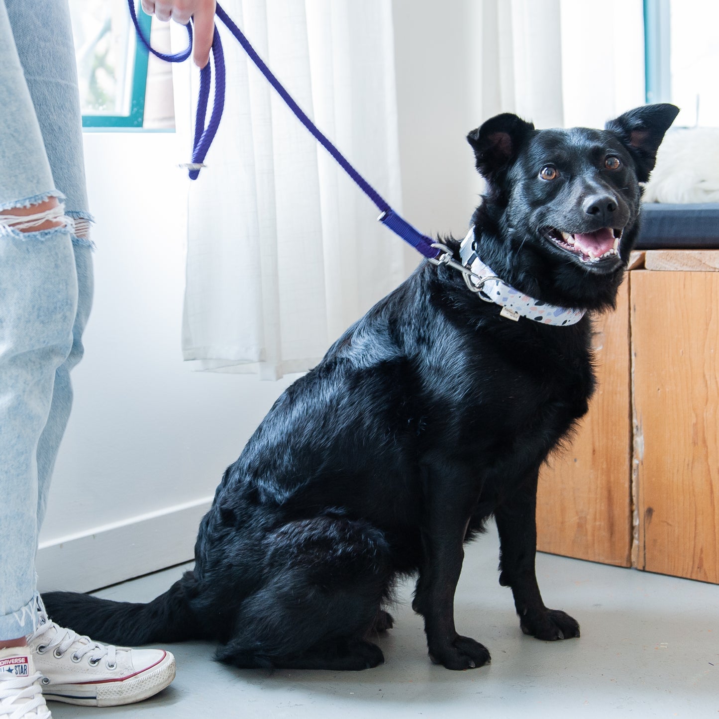 Neon Purple Rope Dog Leash