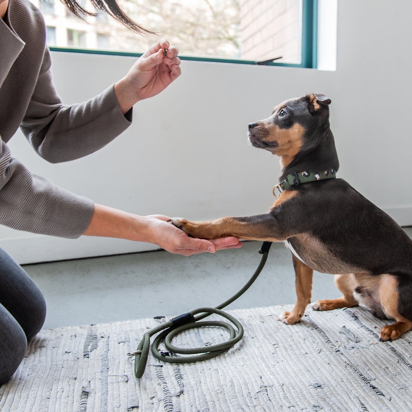 Olive & Black Climbing Rope Dog Leash