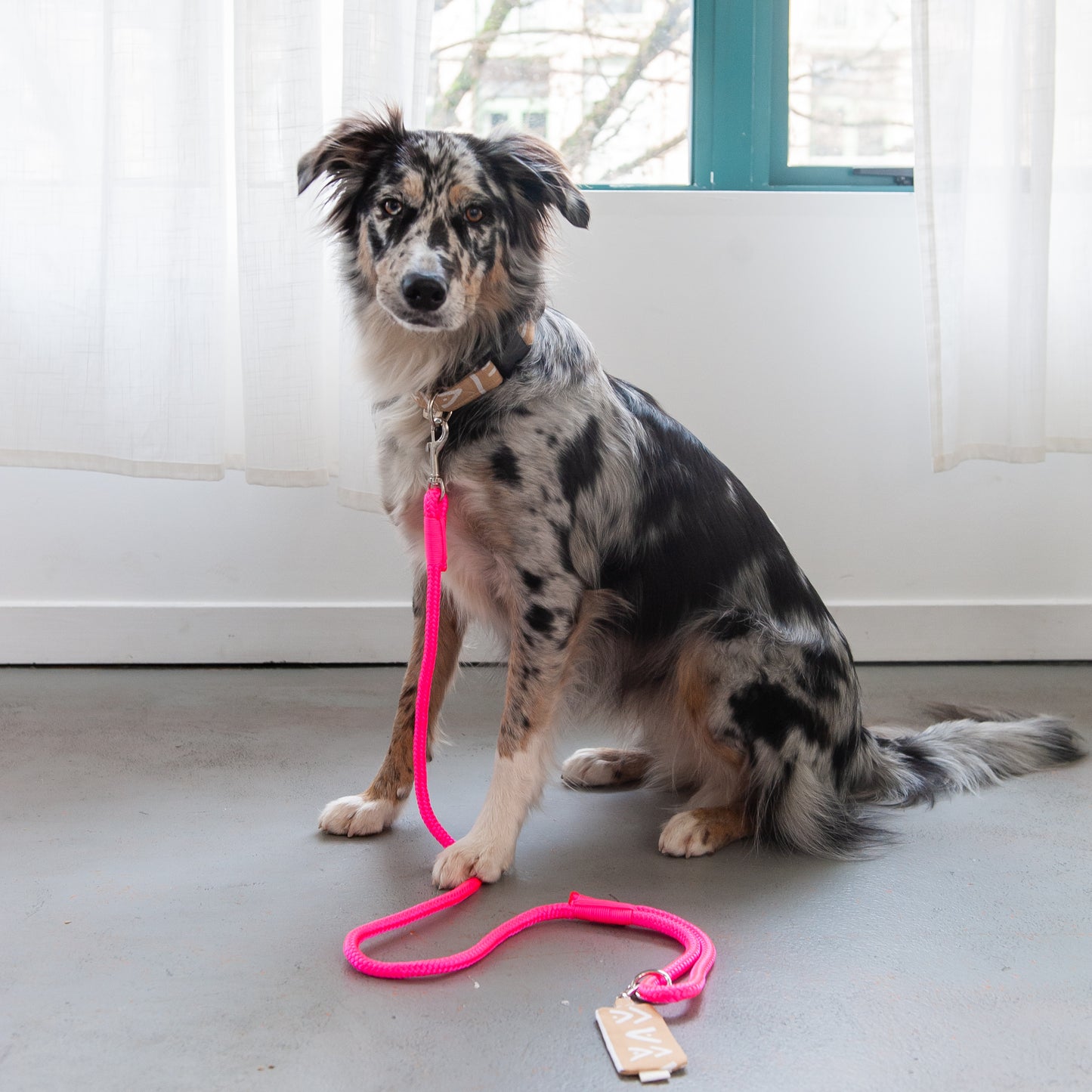 Neon Pink Rope Dog Leash