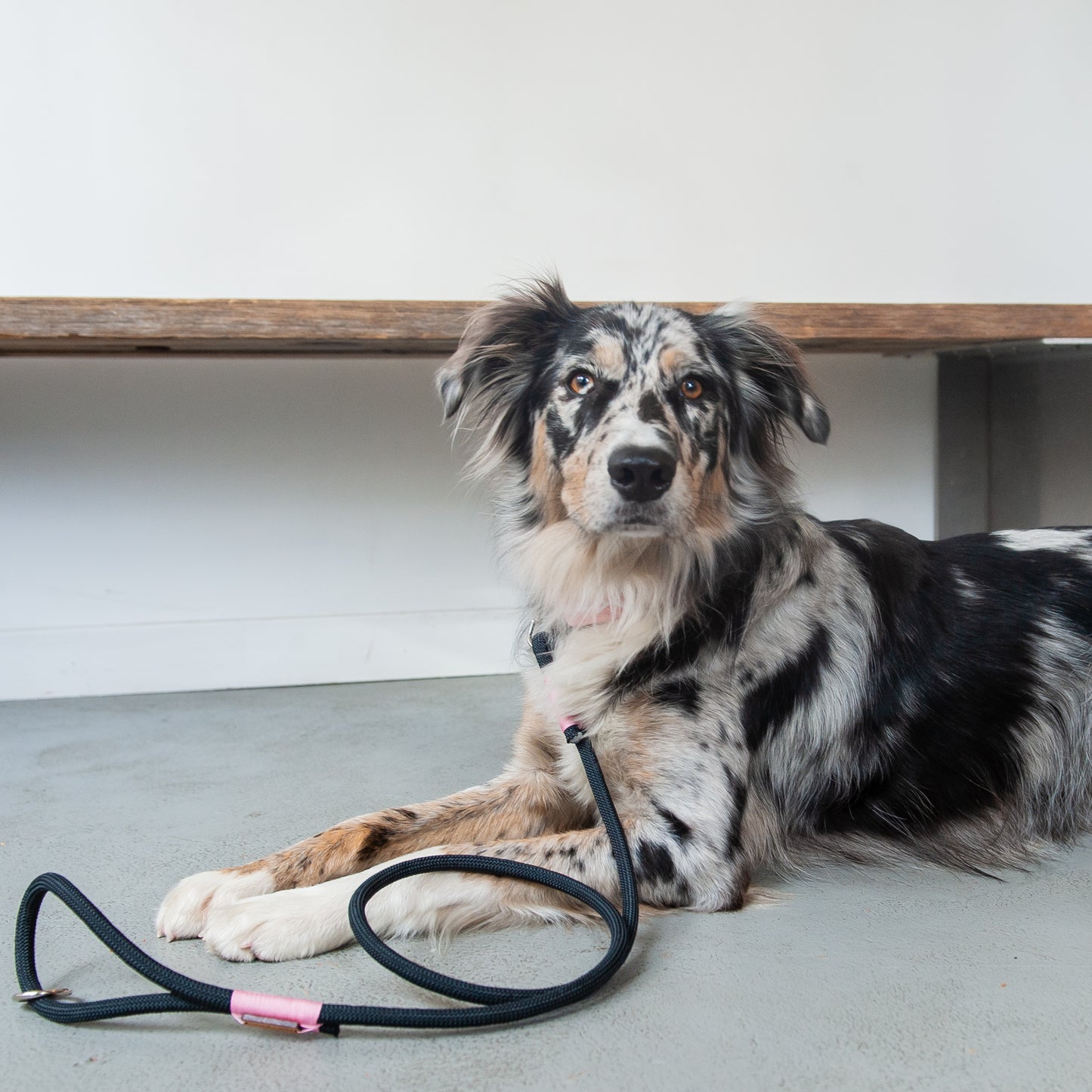 Black & Pink Climbing Rope Dog Leash