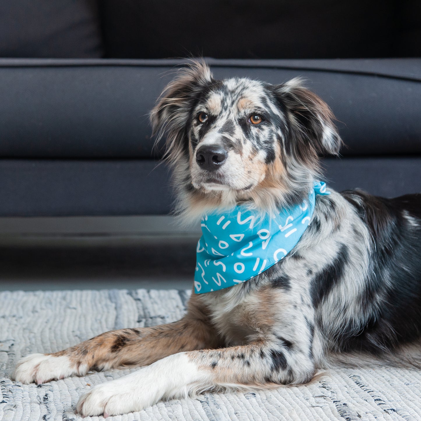 Turquoise Blue Shapes Dog Bandana