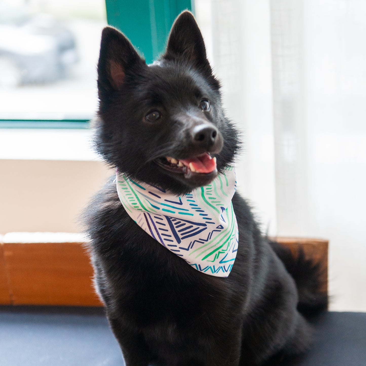 Tropical Geometric Dog Bandana