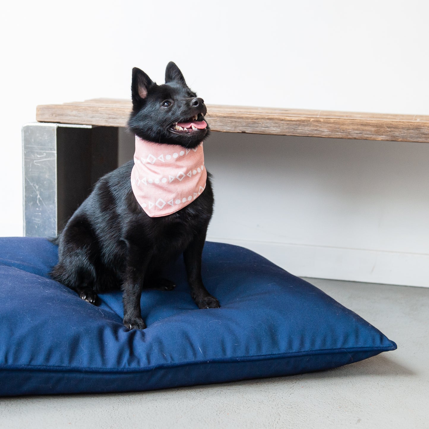 Dusty Pink Dog Bandana