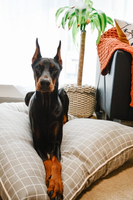 Grey Checkered Dog & Pet Bed Set