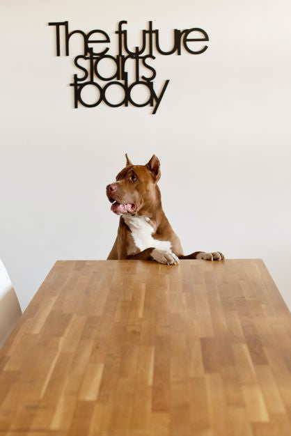 A large dog sitting at a wooden table like a human doing business. There is a sign in the background that says, 