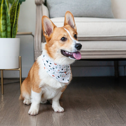 Fall Terrazzo Dog Bandana