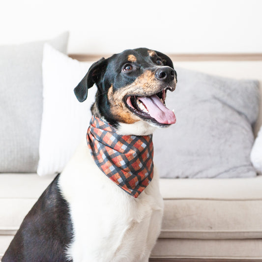 Fall Plaid Dog Bandana