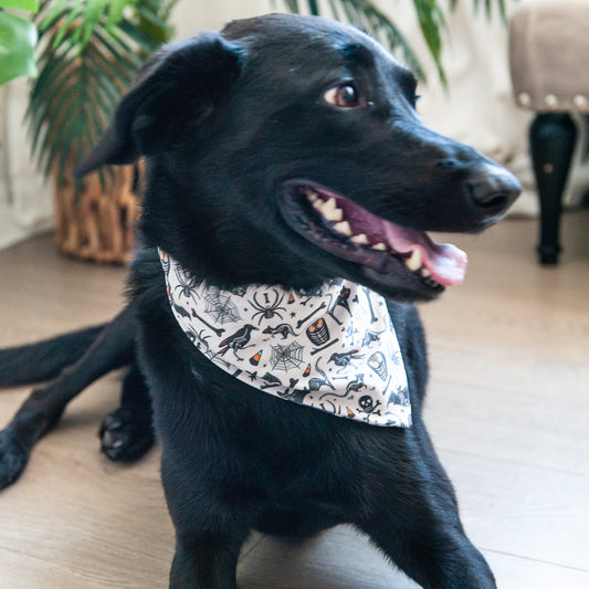 Sticks and Bones Dog Bandana