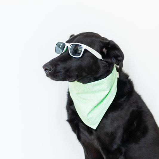 Neon Green Polkadog Dog Bandana