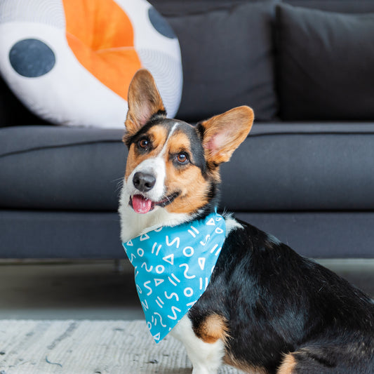 Turquoise Blue Shapes Dog Bandana