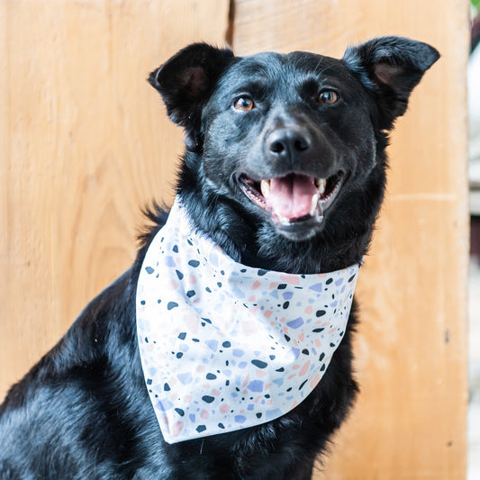 Pastel Terrazzo Dog Bandana