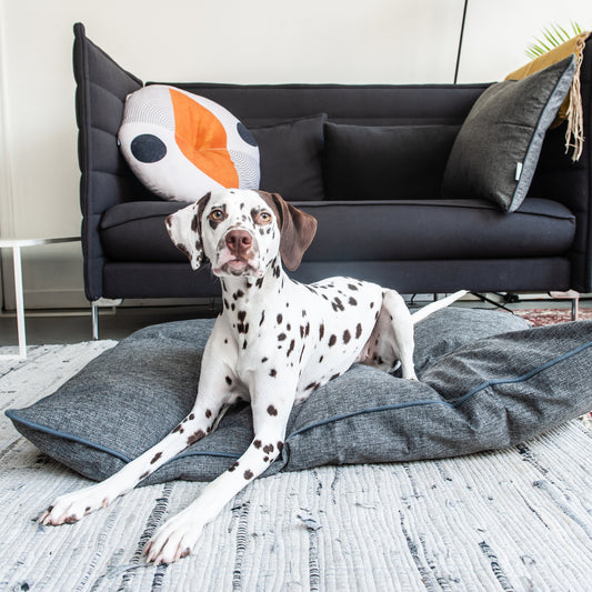 Classic Solid Dark Grey Dog & Pet Bed Set