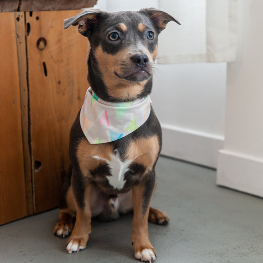 Pastel Neon Triangle Dog Bandana