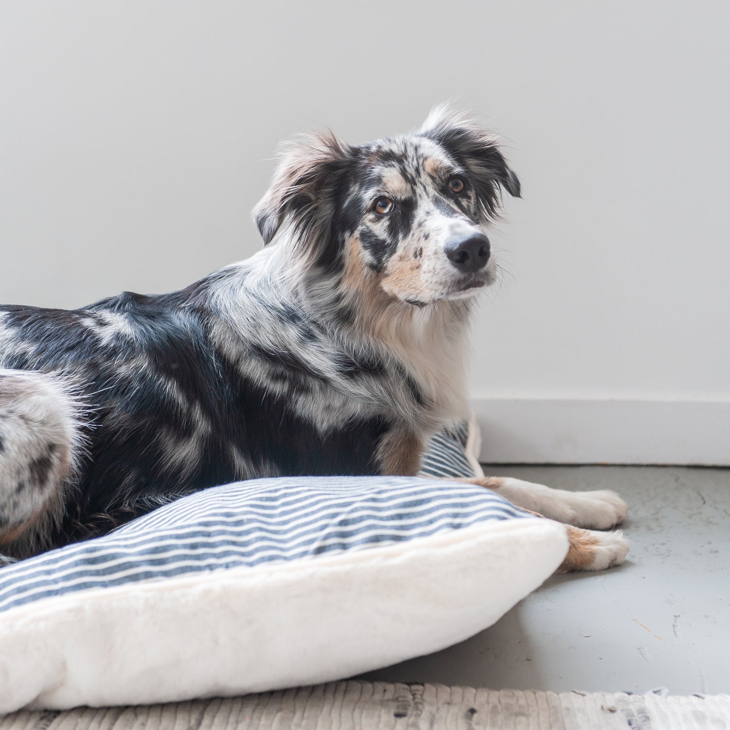 Blue Nautical Stripe Plush Dog Pet Bed Cover Tamed Wild