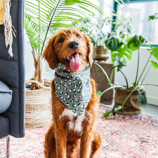 Boho Leopard Dog Bandana