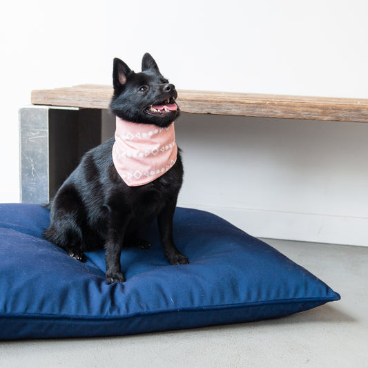 Dusty Pink Dog Bandana