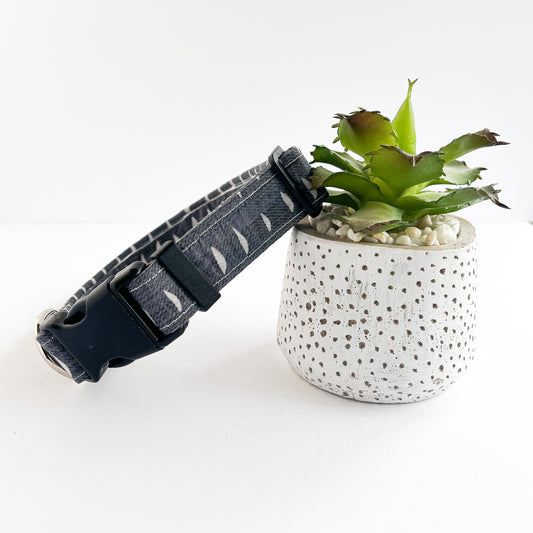 Dark Rain Dog Collar